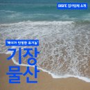 기장물산㈜ | 기장물산 - 해녀가 인정한 유기농 `기장 미역&amp;다시마`
