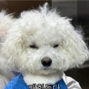 안경쟁이 이미지