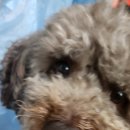 미쁨스토어 이미지