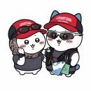 2026 제주오름 트레일런 대회 후기 (제주 현무암을 닮은 SALOMON 기념품도 최고!)