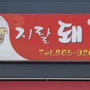 지랄돼지 이미지