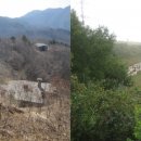 비무장지대 이미지