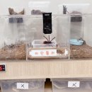 하이애니멀샵 이미지