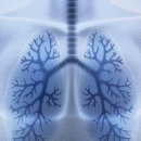 (주)이유헬스케어 이미지