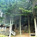 축령산자연휴양림 이미지