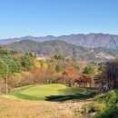 양잔디에서 한국잔디로 교체중인 가평 아난티cc 후기