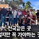 다이브메이트