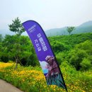 동해 무릉별유천지 이용후기 &amp; 정보