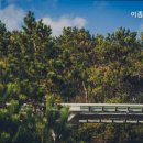 이종관비뇨기과의원 이미지