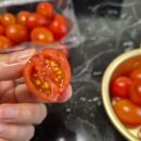 투마토 | 씹을수록 자몽향이 나는 방울토마토가 장안에 화제라고 해서 나도 먹어봄(망고향,자몽향)