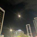엄가네시골집24시얼큰한뼈해장국
