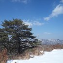 눈속에 파묻힌 옥석산, 선달산을 아시나요(백두대간, 도래기재~고치령, 26Km) 이미지