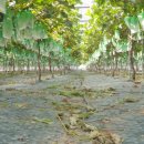 청비농장 이미지