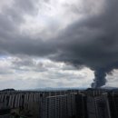 금호타이어차모터스 이미지