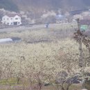 강학2리 이미지