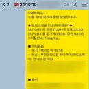 라도스투어