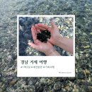 산타모니카애견펜션