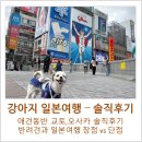수륙일주도로 공중화장실 | 단점] 진짜 갈만한거 맞아? 희망편vs절망편, 애견동반 일본여행 솔직후기, 반려견과 일본 교토오사카 여행