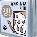 신성전파사