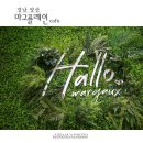 마고플레인 이미지