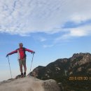 삼호당구장 이미지