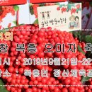 복흥면 체육공원 이미지