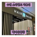 💈수원 스타필드 미용실💈 헤어살롱함 💇🏻‍♂️💇🏻‍♀️ 남자 가르마펌 (feat. 딘쌤) 🩵