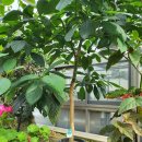 동명(춘천) 이미지