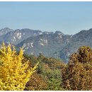 미륵리 마을회관 이미지