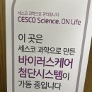 피트니스 베네핏 이미지