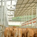 황고개농장 이미지