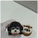 감동이네 수제간식 이미지