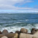 대게타운 이미지