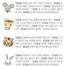 신단수디자인 이미지