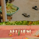 단양삼시세끼 이미지