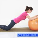 짐볼을 이용한 코어트레이닝 / Gymball Roll away ex, / 복횡근+복직근 강화운동 / 척추전만증 재활운동 / 소도구 메디컬트레이닝 이영 이미지