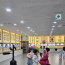 세종태권도장체육관 이미지