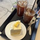 슬로우터틀 | 동성로 카페 동성로 케이크 맛집 동성로 디저트 맛집 슬로우터틀 동성로점 내돈내산 후기