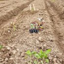 태호네농장 이미지