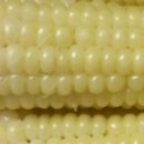 고운 농장 이미지