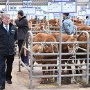 두타동물병원 이미지