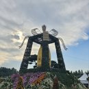 이리중앙체육공원매점 | 제22회 익산 천만송이 국화축제 감상 후기