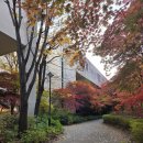 테라스하우스 | 가평 아난티코드 테라스하우스 11월 숙박후기(치즈빵 후기)