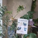 데코뷰 사옥 이미지