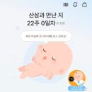 일상여행 | [임신 22~23주 일상] 정밀 초음파 후기. 해외태교여행 포기..!