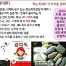 여우스킨 이미지