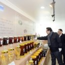 파주통일정보화마을 이미지