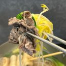 가미정샤보리 이미지