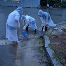 중앙동258 이미지