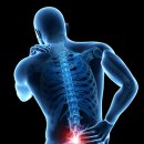 Body Master Gym 이미지